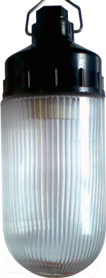 Светильник ЖКХ Элетех Желудь Ф НСП 02-100-001 / 1005550307 - фото