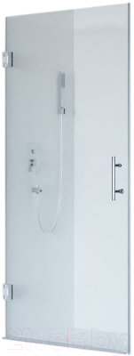 Душевая дверь RGW HO-011 / 350601109-11 - фото
