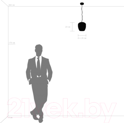 Потолочный светильник Lightstar Arnia 805011