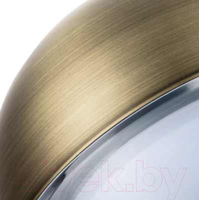 Потолочный светильник Lightstar Dafne 815511