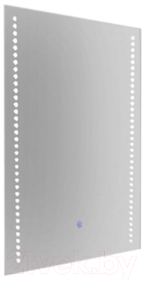 Зеркало WeltWasser BZS Elta 6080-01 - фото