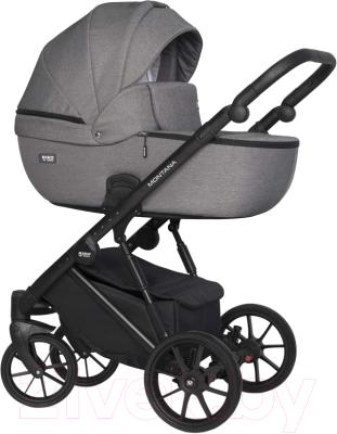 Детская универсальная коляска Riko Montana 2 в 1 - фото