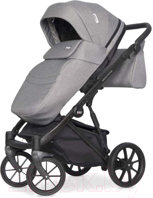 Детская универсальная коляска Riko Montana 3 в 1