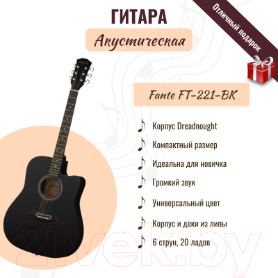 Акустическая гитара Fante FT-221-BK