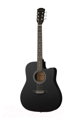 Акустическая гитара Fante FT-221-BK