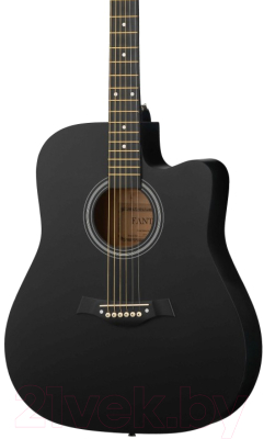 Акустическая гитара Fante FT-221-BK