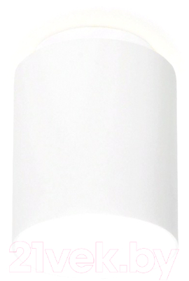 Точечный светильник Ambrella TN261 WH/S - фото