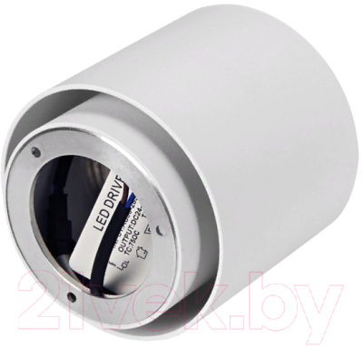 Точечный светильник Ambrella TN261 WH/S