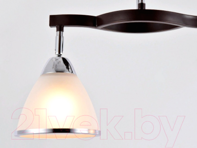 Потолочный светильник Ambrella TR3111/2 DCF/CH (темный кофе/хром)