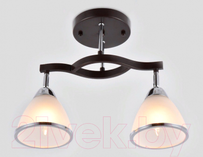 Потолочный светильник Ambrella TR3111/2 DCF/CH (темный кофе/хром)