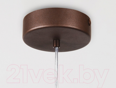 Потолочный светильник Ambrella TR5043 CF/TI