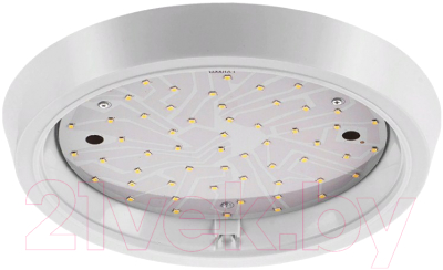 Потолочный светильник Wolta DBO01-20-6.5K
