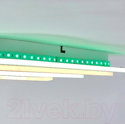 Потолочный светильник Citilux Триест Смарт CL737A44E