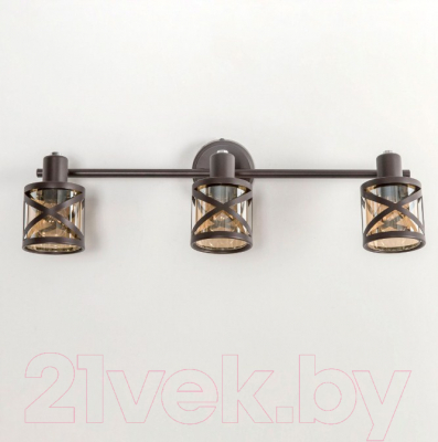 Спот Citilux Гессен CL536635