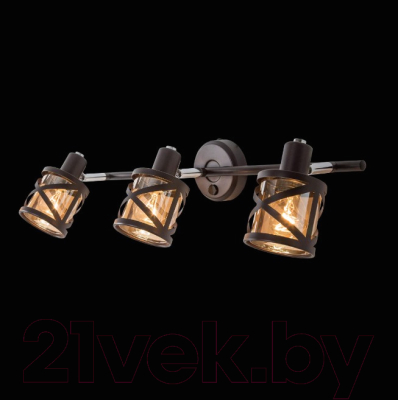 Спот Citilux Гессен CL536635