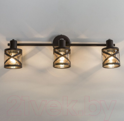 Спот Citilux Гессен CL536635