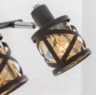 Спот Citilux Гессен CL536635