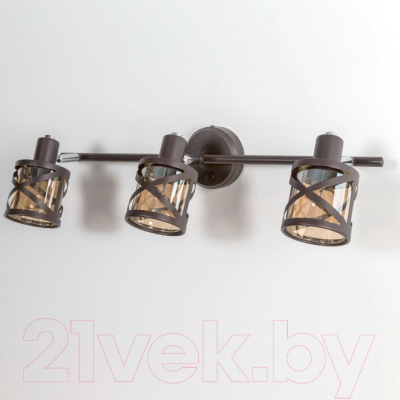 Спот Citilux Гессен CL536635