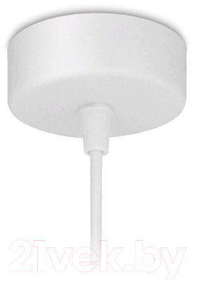 Потолочный светильник Ambrella TN289 SWH (белый песок)