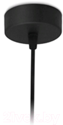 Потолочный светильник Ambrella TN290 SBK (черный песок)