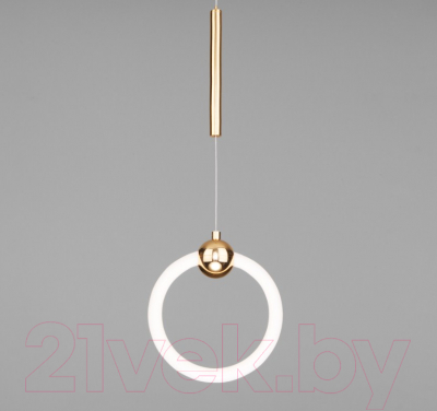 Потолочный светильник Евросвет 90165/1 - фото