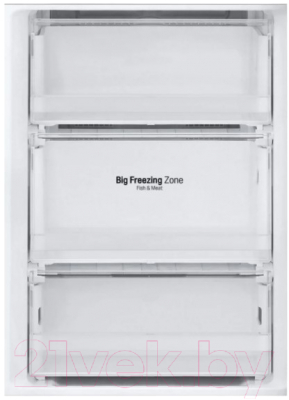 Холодильник с морозильником LG GA-B509CQCL