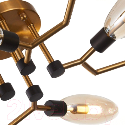 Люстра ST Luce Desima SL1174.302.08