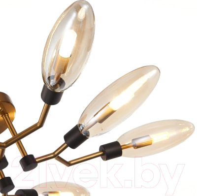 Люстра ST Luce Desima SL1174.302.08