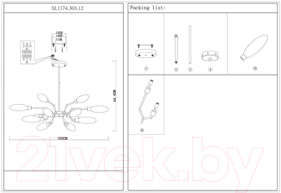Люстра ST Luce Desima SL1174.303.12