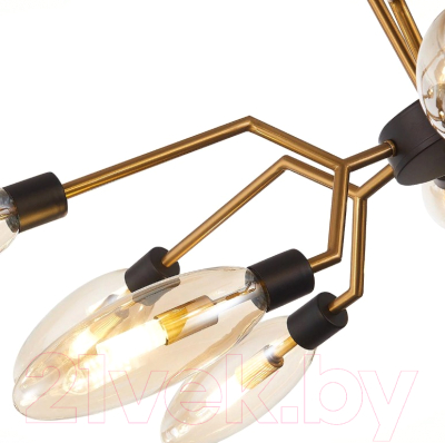 Люстра ST Luce Desima SL1174.303.12