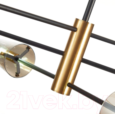 Люстра ST Luce Morave SL1209.302.06