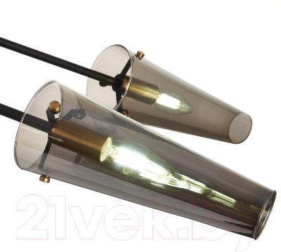 Люстра ST Luce Morave SL1209.302.06