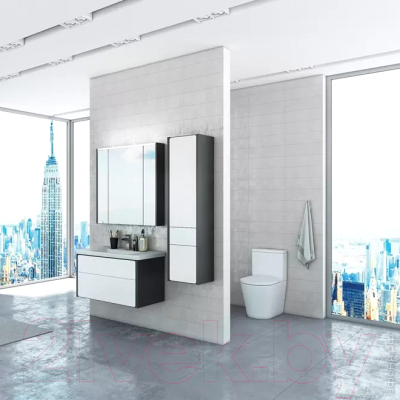 Шкаф с зеркалом для ванной Roca Ronda 60 / ZRU9302968