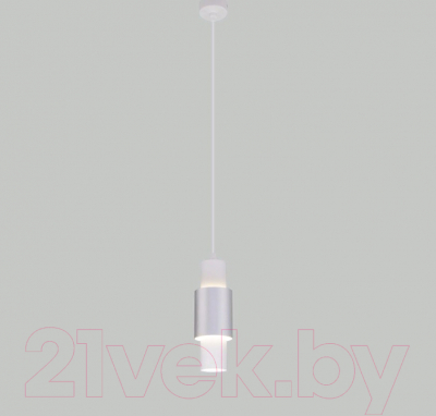 Потолочный светильник Евросвет 50204/1 LED