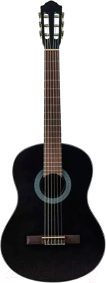 Акустическая гитара Flight C-100 BK 4/4 - фото
