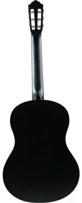 Акустическая гитара Flight C-100 BK 4/4