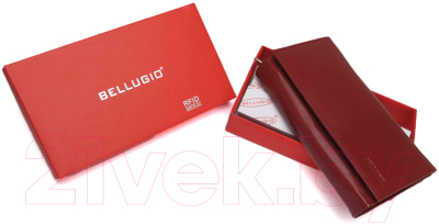 Портмоне Bellugio ZD-02R-064M