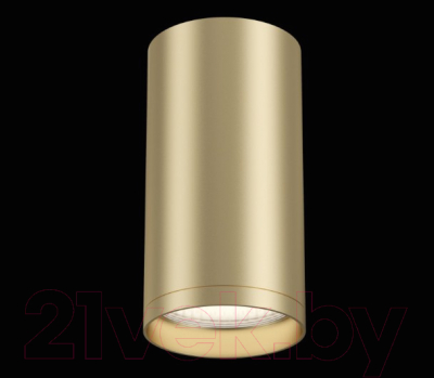 Потолочный светильник Maytoni Focus S C052CL-01MG