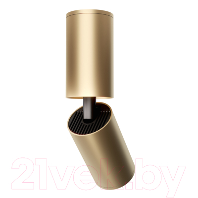 Спот Maytoni Focus S C051CL-01G