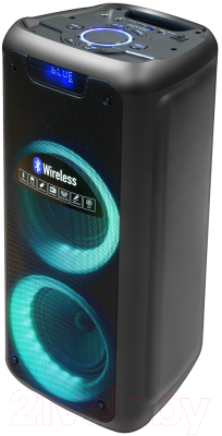 Портативная колонка Ginzzu GM-211