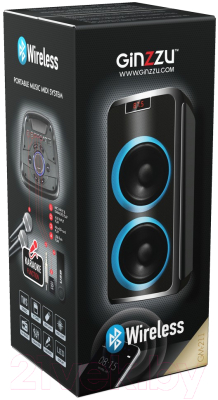 Портативная колонка Ginzzu GM-211