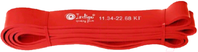Эспандер Indigo Sport Кроссфит 601 HKRBB - фото
