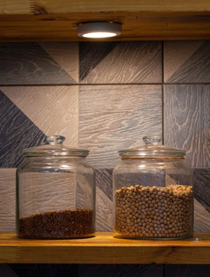 Потолочный светильник ArtStyle CL-W2x05W (белый)