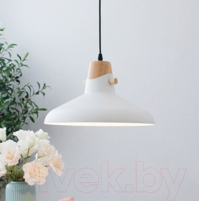 Потолочный светильник Home Light Астерия A039-1 (белый) - фото