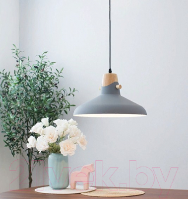 Потолочный светильник Home Light Астерия A039-2 (серый) - фото