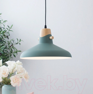 Потолочный светильник Home Light Астерия A039-3 (зеленый) - фото