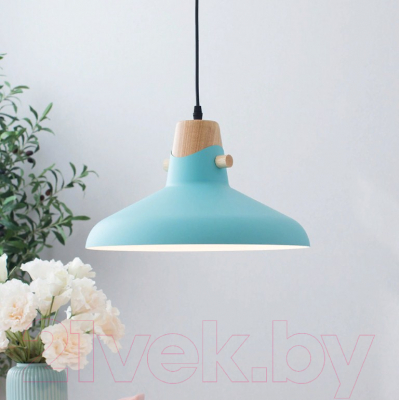 Потолочный светильник Home Light Астерия A039-6 (синий) - фото