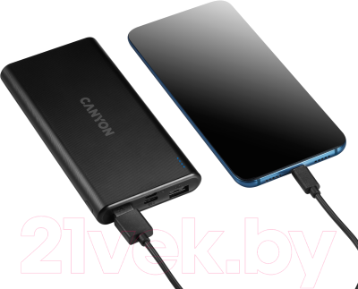 Портативное зарядное устройство Canyon CNE-CPB1006B
