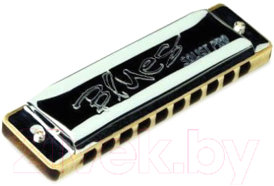 Губная гармошка Seydel Blues Solist Pro 12 Steel C - фото