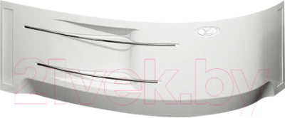 Экран для ванны Vannesa Ирма 169х110 L / 2-21-0-1-0-217 - фото